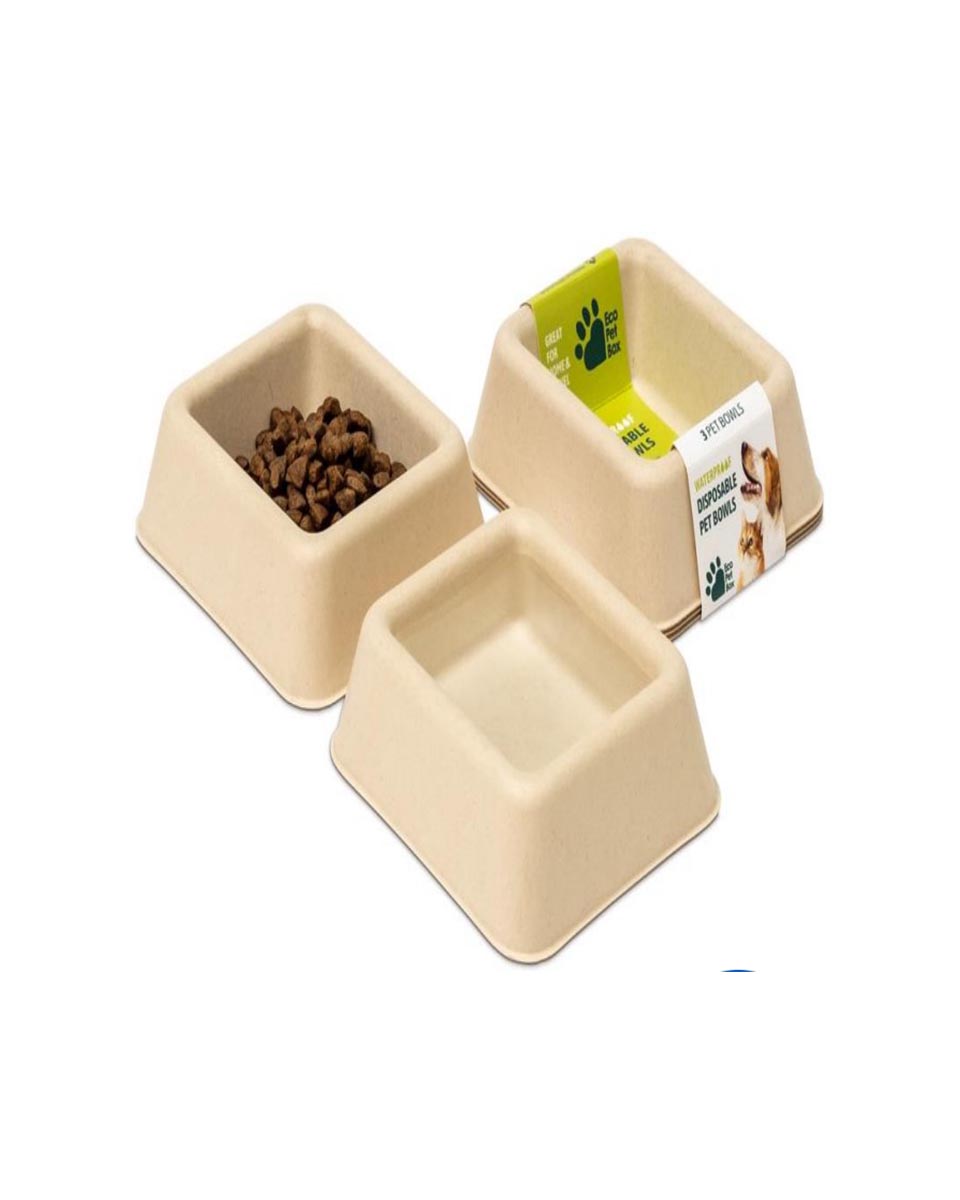 صحن مصنوع من ورق معاد تدويره