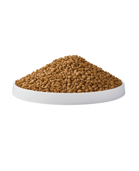 ميو طعام جاف للقطط للقطط الام و حديثة الولادة- 1.1 كجم