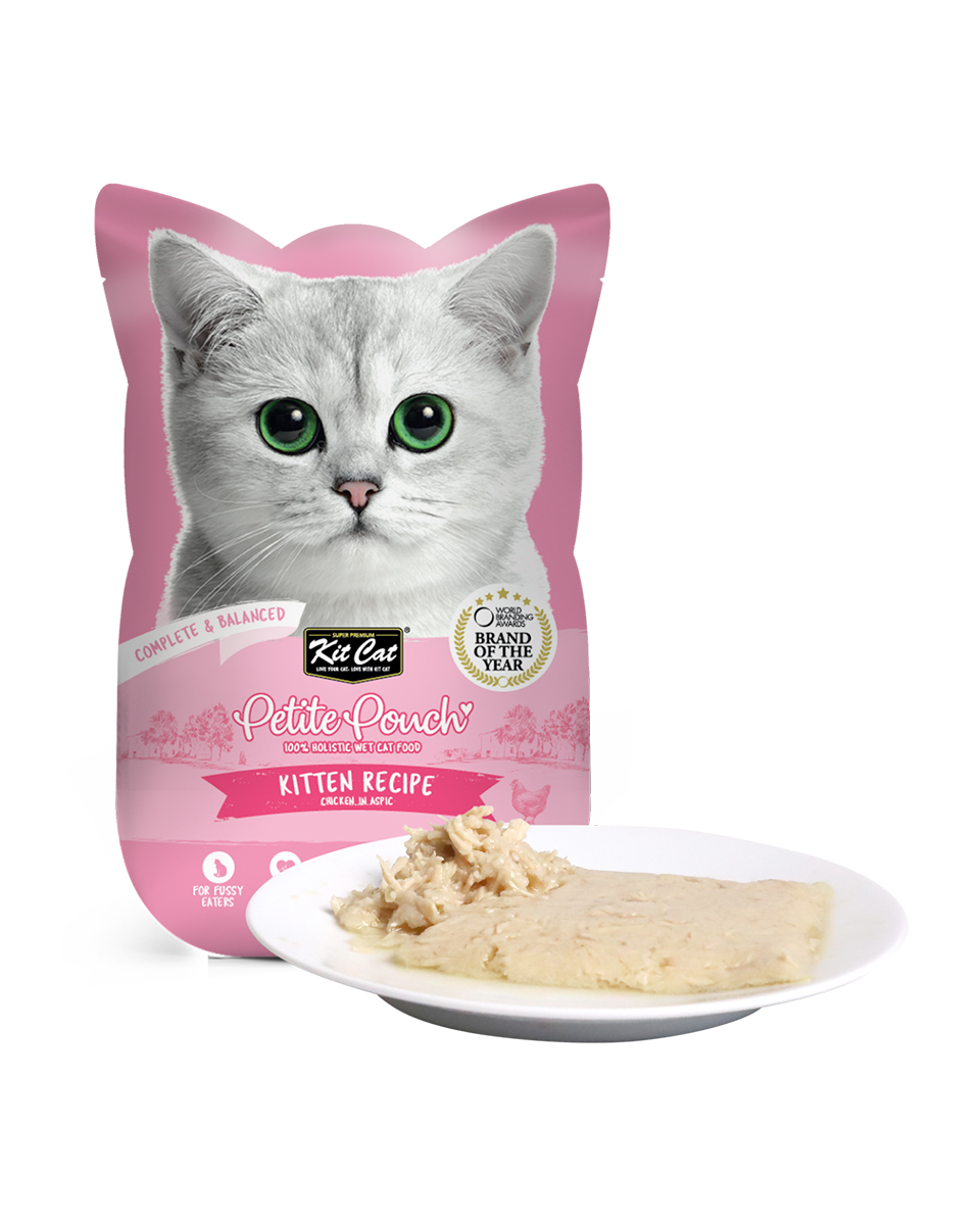 كيت كات اكل رطب للقطط الصغيرة -كتن- متكامل ومتوازن بالدجاج في الجيلي 70 جرام